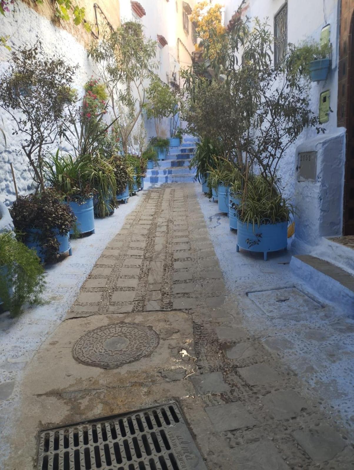 Dar Al Mansoura Riad Szafszawan Pokój zdjęcie